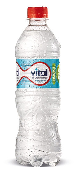 Vital 600ml Ecoflex SG small